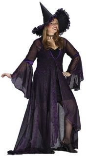 The Plus Size Purple Rose Shimmering Witch Costume includes purple 