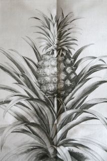 1750 FAMOUS WORK ON GARDENING, FRUIT AND PINEAPPLE CULTIVATION