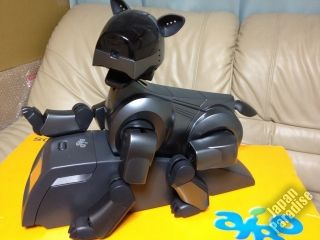 Sony Aibo Robot Pet ers 210 B Metalic Black Fully Working DHS Free 