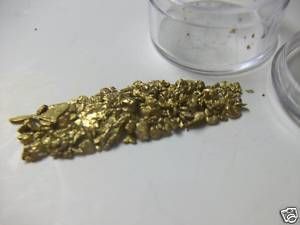 gram AKASKA GOLD NUGGETS from CHICKEN, ALASKA 20 10 SCREENED
