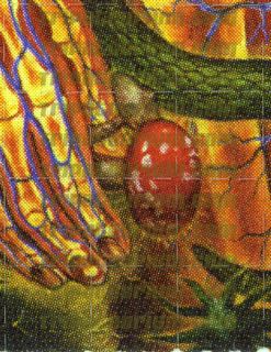 LSD Blotter Print Adam Eve by Alex Grey Tool Signed