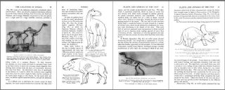 An introduction to the study of fossils (plants and animals) (1914 