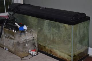 180 Gallon all glass aquarium 2 overflows lots of odds and ends