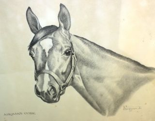 1961 Allen F. Brewer Airmans Guide Horse Signed Artist Print