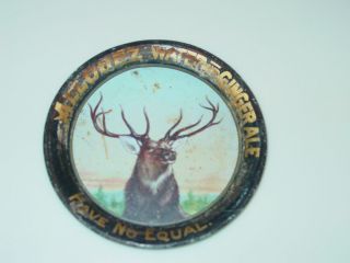 Allouez Waters Ginger Ale Tip Tray 12 PT Buck Circa 1911