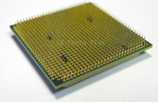 AMD Sempron 145 2 8 GHz Processor SDX145HBK13GM