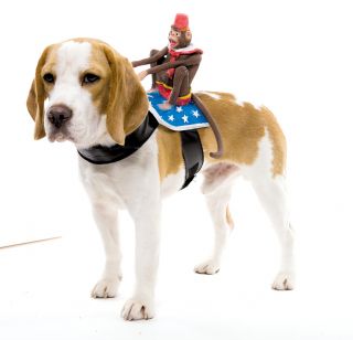 Monkey Back Riding Dog Rider Pet Animal Puppy Funny Costume Halloween 