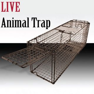   Possum Rabbit Cat Live Humane Animal Trap 31x9x11 Cage Brown