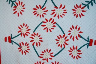 This GORGEOUS cotton 30s poinsettia quilt is hand appliqued and hand 
