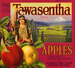 brand tawasentha variation type apple origin white salmon wa circa 