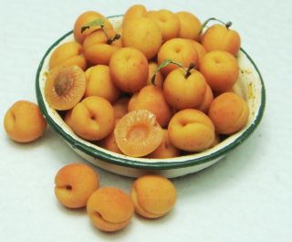 company of apricots resting in an enamel aged bowl all of the apricots 