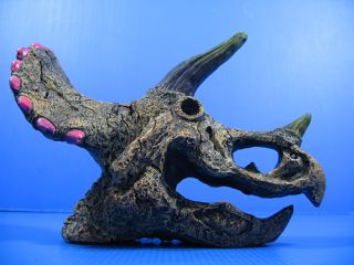 Dinosaur Skull 7.9x4.1x5.5 Aquarium Ornament Decor Aquatic 