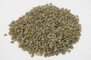 16 Sumatra Arabica Gayo Grade 1 Green Coffee Beans