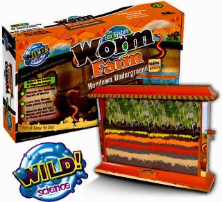 Worm Farm Habitat Wild Science Insect Eco System Kit Earthworm
