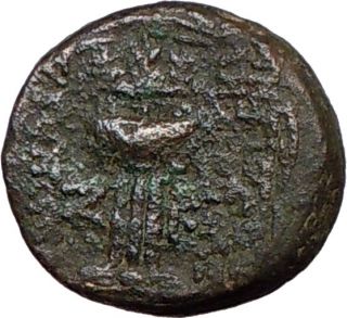 Antioch Syria 5BC Augustus Time Ancient Greek Coin Tyche Luck Tripod 