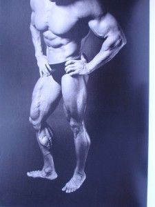 ARNOLD SCHWARZENEGGER A PORTRAIT bodybuilding muscle book (1990) Rare 