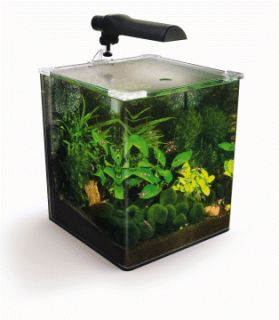 Fluval EBI Nano Aquarium Shrimp Tank Cube 8 Gal 10511