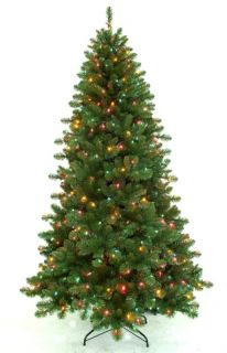 Pre Lit Aster Pine Artificial Christmas Tree Multi Colored Lights 6 5 