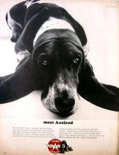 1965 FLYING SERVICE   AXELROD   THE WORRIED DOG   BASSET HOUND   PRINT 
