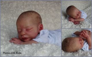 Precious Little Babies Reborn Newborn Baby Boy from Brayden by Nicole 