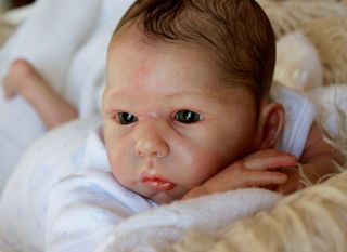 Beautiful Reborn Baby Boy Doll Melody Sculpted by Laura Tuzio Ross 
