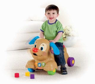 Toddler Riding Scooter Puppy Baby Push Toy Infant Walker Shape Sorter 