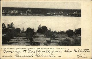 Avon Park FL Looking Across Lake Verona c1905 Postcard