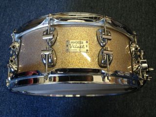 Ayotte Custom Velvet Snare Drum 5 5x14 w Case REDUCED