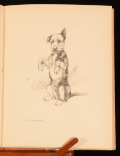 1935 Just Dogs by K F Barker Sketches Pen and Pencil Illustrated Dog 