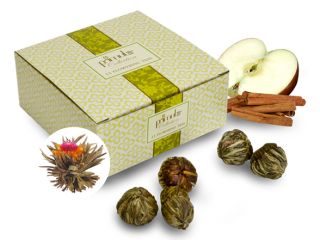 Primula TEAC 1212 Apple Cinnamon Flowering Tea 12 Pack