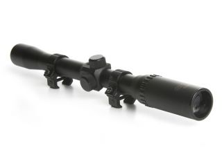 scope only available on one of the two models