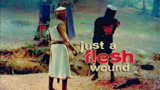 Just a Flesh Wound t shirt for $10.00   clothing, t shirt, monty 