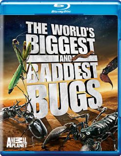 The Worlds Biggest and Baddest Bugs Blu ray Disc, 2009, Blu Ray 
