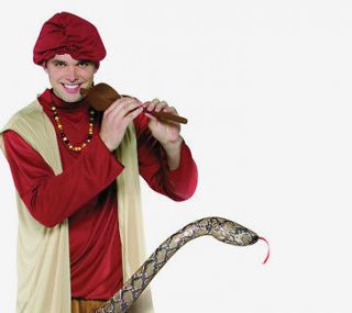 Snake Charmer Costume Halloween Male Party Adult Funny Aladdin 