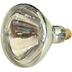 175w White Proheat Bulb for Heat Lamp Ideal Brooder Chicks, Puppies 