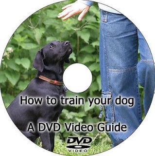 Pet Supplies  Dog Supplies  Training & Obedience  Training Videos 