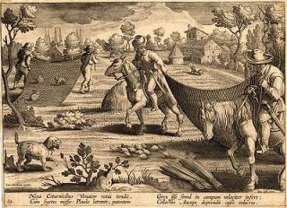 Antique Hunting Print QUAIL RABBIT Stradanus 1636