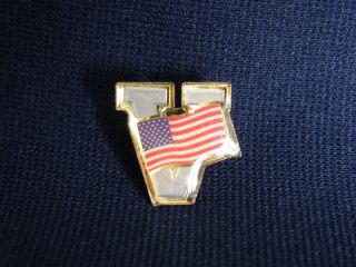 Lavender V Victory USA American Flag Lapel Pin Great WOW