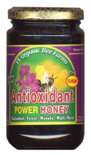 Raw Antioxidant Power Honey by Y s Organic Bee Farms 13 oz Paste 