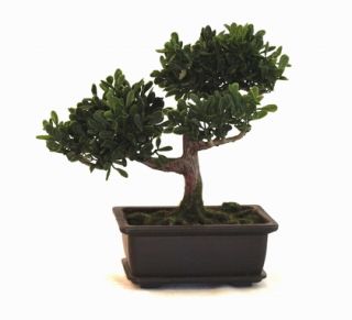 Sale Artificial Bonsai Tree Boxwood Plant Home Decor Christmas Gift 