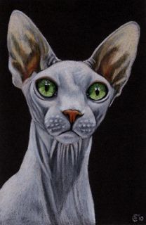 SPHYNX CAT 2 kitten kitty pencil painting Sandrine Curtiss Art ACEO 