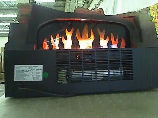 DURAFLAME 20 in Electric Fireplace Insert