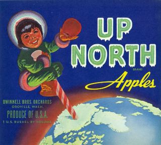 brand up north variation type apple origin oroville wa circa 1930 dist 