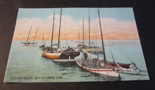 Old C 1910s Oyster Fleet Bay St Louis Mississippi Miss Postcard 