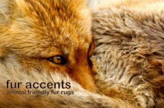   FOX Fur Accent Rug Mink Rabbit Fox Wolf Bear Sheepskin Throw Blanket