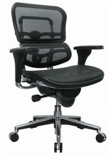 this listing is for the me8erglo raynor ergohuman chair low back chair