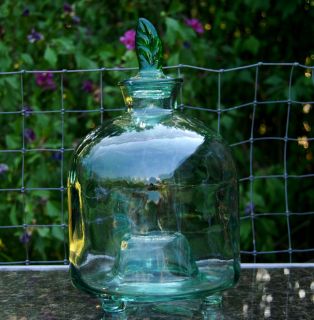   Vintage Green Glass Fly Wasp Bee Catcher Jar Bottle Insect Trap