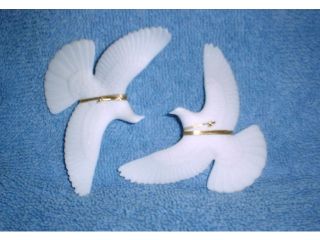 beautiful love doves for remembering each other this is a