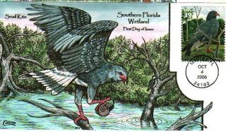 Collins Hand Painted 4099 South Florida Wetlands Set 10