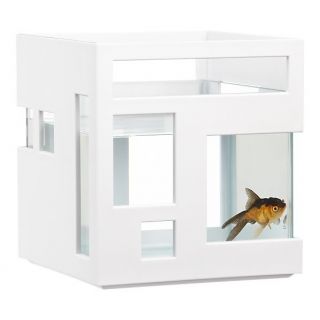   Fishhotel Aquarium Stylish Betta Beta Gold Fish Bowl Hotel Tank